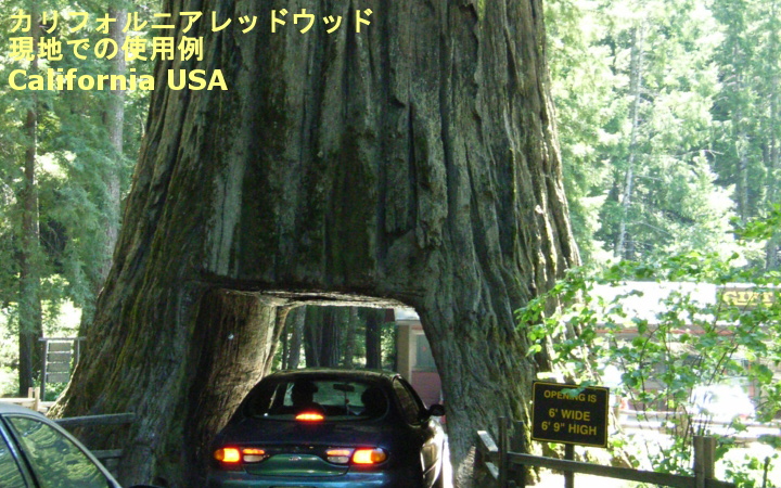 カリフォルニアレッドウッド材(節付き)_2×6